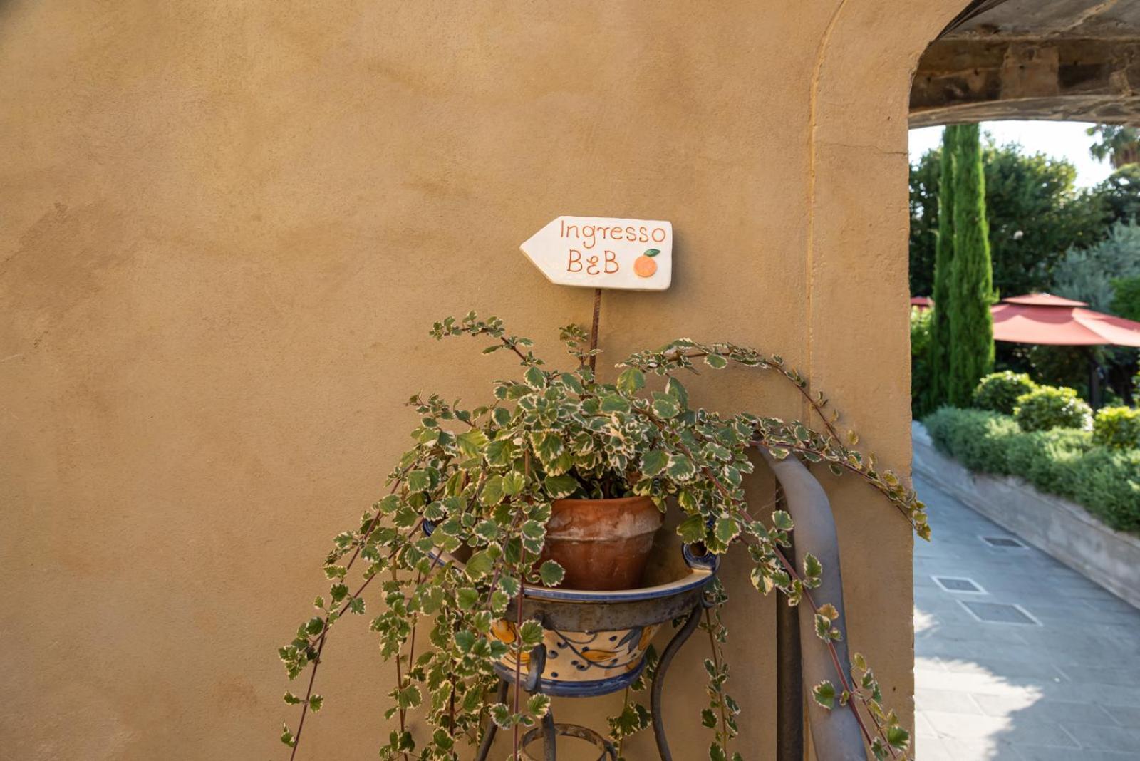 B&B L' Orangerie Pietrasanta Luaran gambar